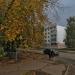 15/2 в городе Набережные Челны