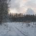 Поляна в городе Москва