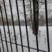Стадион «Комета» в городе Москва