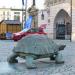 plastika želvy in Olomouc city