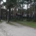 Борок в городе Великий Устюг