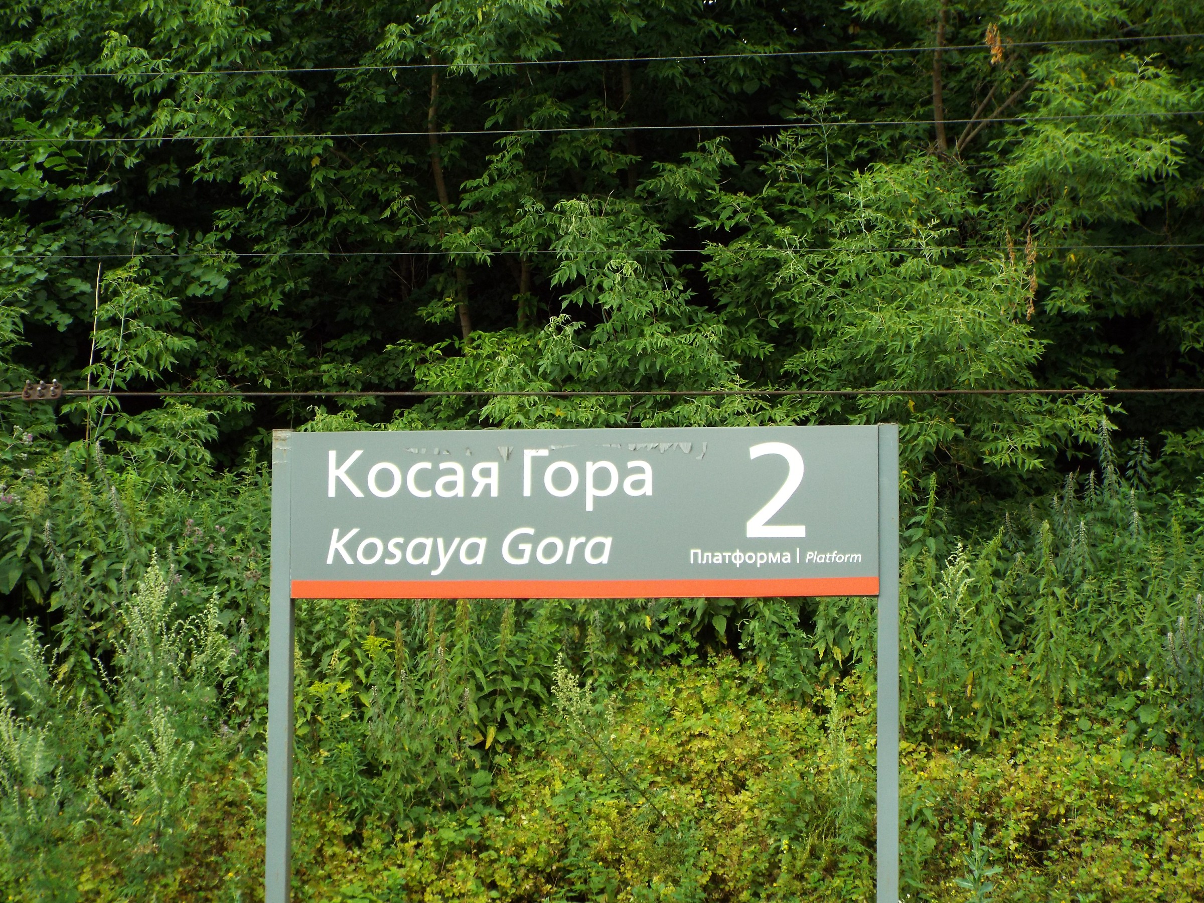 Остановочный пункт Косая Гора - Тула