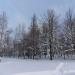 Территория школы № 1194 в городе Москва