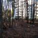 Plac zabaw in Gdynia city