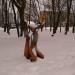 Сквер с детской площадкой в городе Тверь