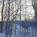 КПП в городе Череповец