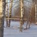 Зона отдыха в городе Череповец