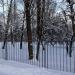 Территория детского сада № 33 в городе Андреевка