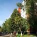 51/03 в городе Набережные Челны