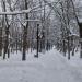 Сквер в городе Москва