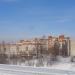 Муравейник в городе Иваново