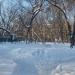 Сквер в городе Москва