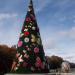 «Ёлка» в городе Нижнекамск
