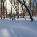 Спортивная площадка в городе Москва