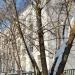 Школа № 1367, корпус № 4 в городе Москва