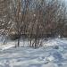 Заброшенное убежище гражданской обороны в городе Москва