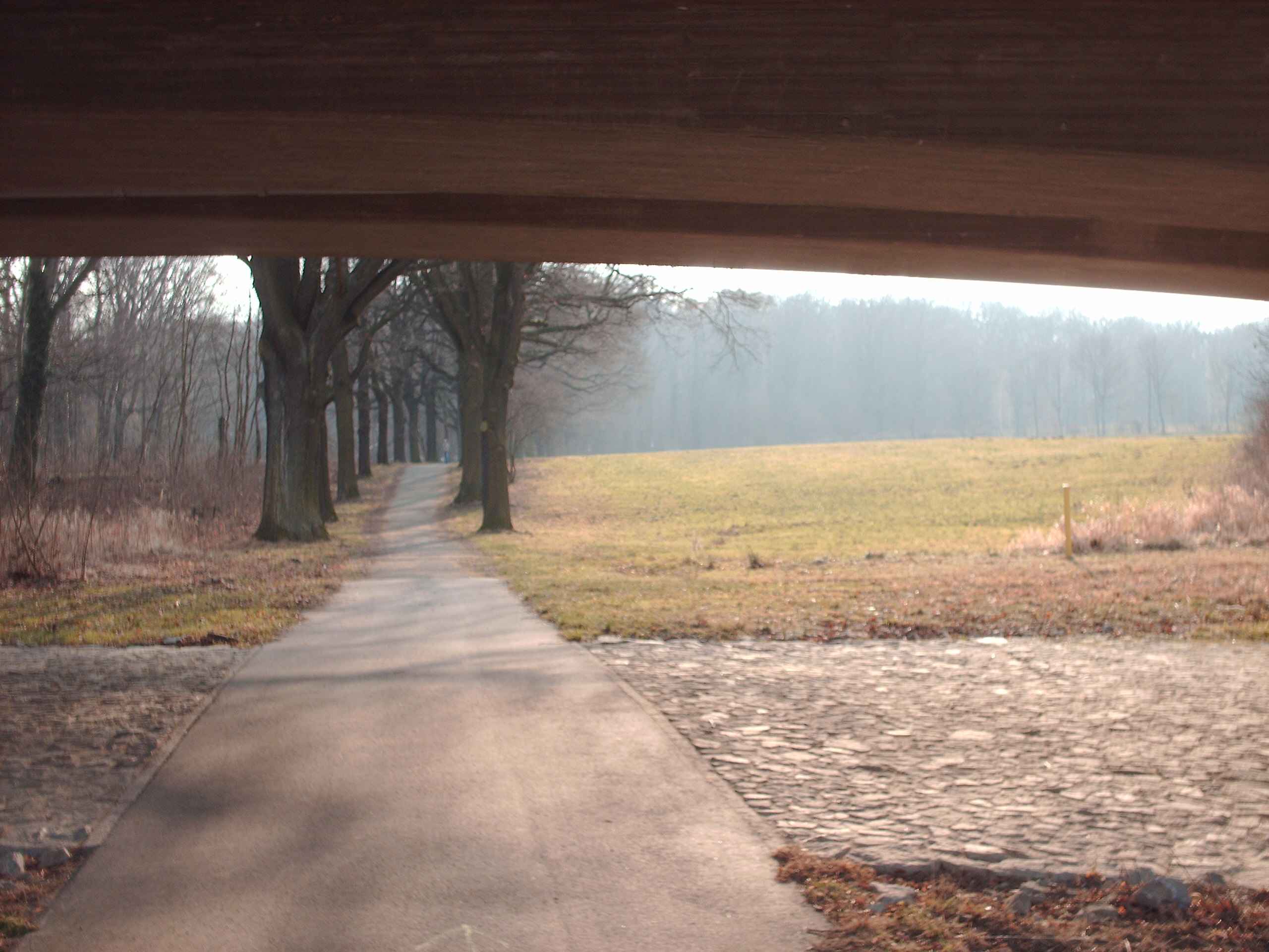Humboldthain Bautzen (Sport und Naturpark) Bautzen / Budyšin Park