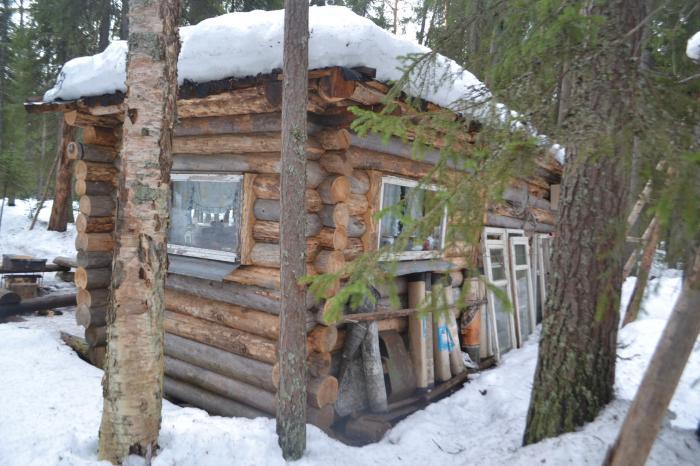 Изба сухая Архангельск