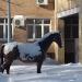 Скульптуры «Лось, олень, конь» в городе Москва