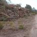 Wald- und Teichlandschaft