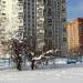 Площадка для выгула собак в городе Москва