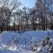 Площадка для воркаута в городе Москва