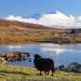 Loch Roag