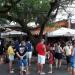Restaurante Seu Antônio do Bacalhau (pt) in Niterói city