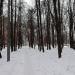 Старопетровский сквер в городе Москва