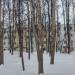 Тихая ул., 23 строение 1 в городе Москва