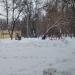 Детская игровая площадка в городе Москва