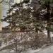 Детская музыкальная школа в городе Каменск-Шахтинский