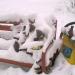 Площадка для отдыха в городе Москва