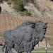 Sculptures of steppe bisons in Khanty-Mansiysk city
