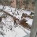 ул. Ворошилова, 8/93 в городе Каменск-Шахтинский