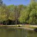Lago na Porto city