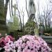 The grave of Teofila Rostek in Warsaw city