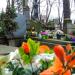 The grave of Wacława Krzyżanowska in Warsaw city