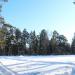 Лесная опушка в городе Иваново
