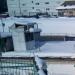 Голубятня в городе Москва