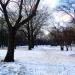 Park Staromiejski in Łódź city