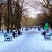 Park Staromiejski in Łódź city