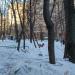 Детская игровая площадка в городе Москва