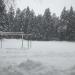Футбольное поле в лесу в городе Пушкино