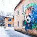 Мурал «Красная панда» в городе Киев