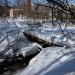 Пешеходный мост через р. Сосенку в городе Москва
