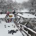 Утиный пляж в городе Москва