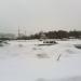 Газон в городе Москва