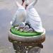 Скульптура «Влюбленные лебеди» на Набережной Бреста в городе Брест