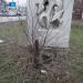 Декоративная стела в городе Новочеркасск